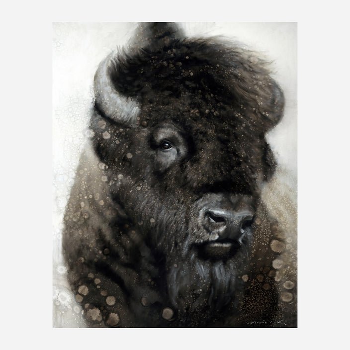 American Beauty Bison Art by David Frederick Riley at Your Western Decor