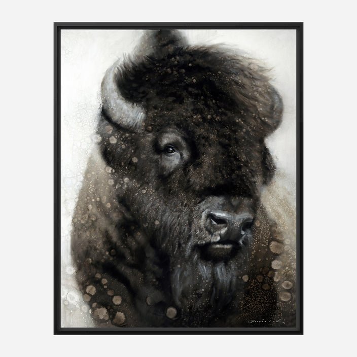 American Beauty Black Framed Canvas Bison Art by David Frederick Riley at Your Western Decor