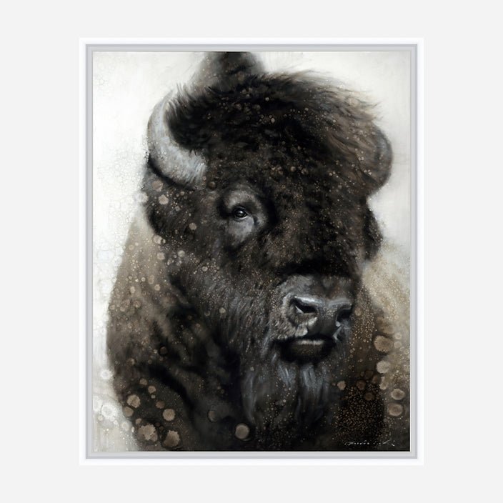 American Beauty White Framed Canvas Bison Art by David Frederick Riley at Your Western Decor