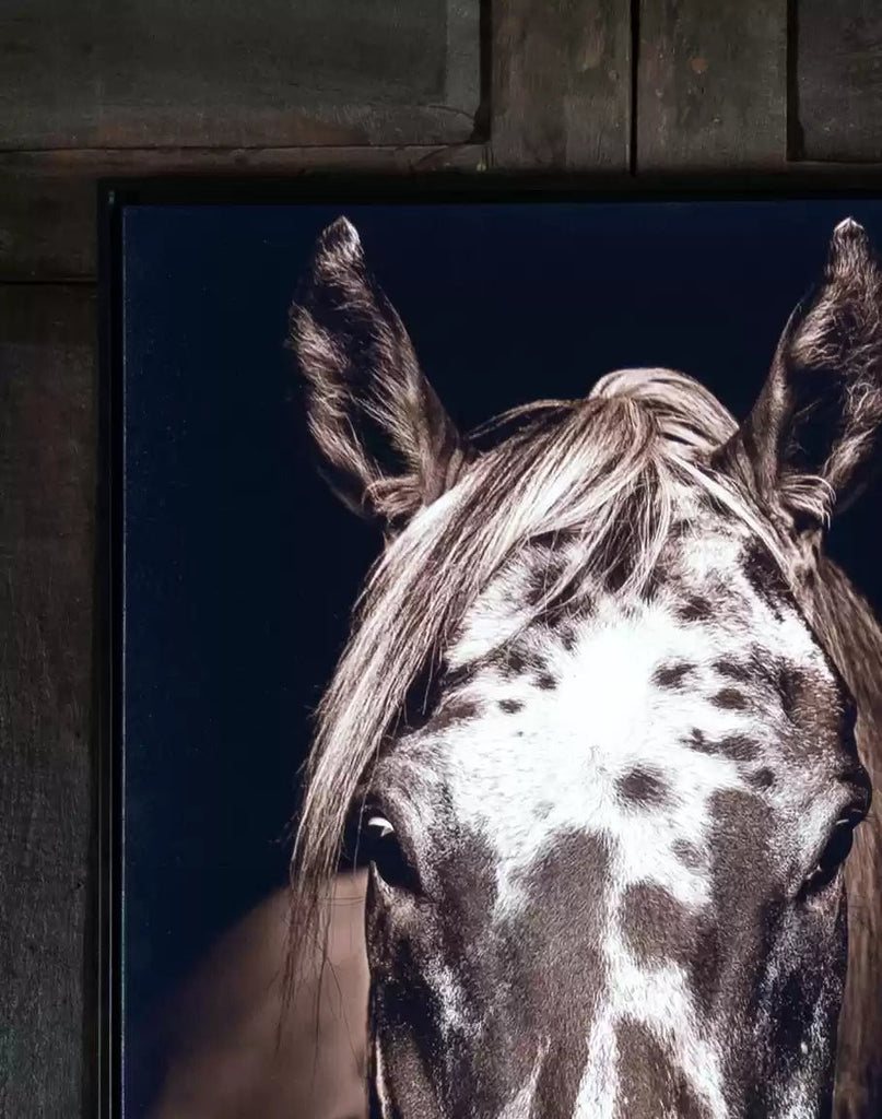 Apache Horse Framed Canvas Print Detail - Your Western Decor
