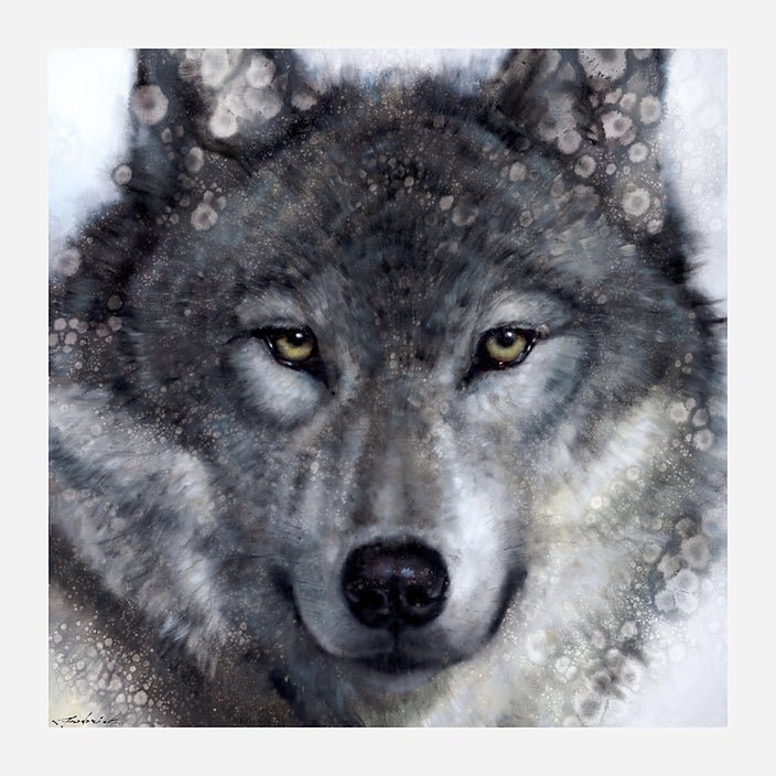 Aspen Wolf Art on Stretched Canvas by David Frederick Riley - North American Wildlife Art at Your Western Decor