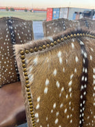 Axis dining chairs detail - Your Western Decor