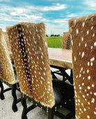 Axis dining chair backs - Your Western Decor