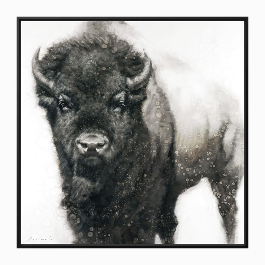 Bison Stare Black Framed Canvas Art - David Frederick Riley Art - Your Western Decor