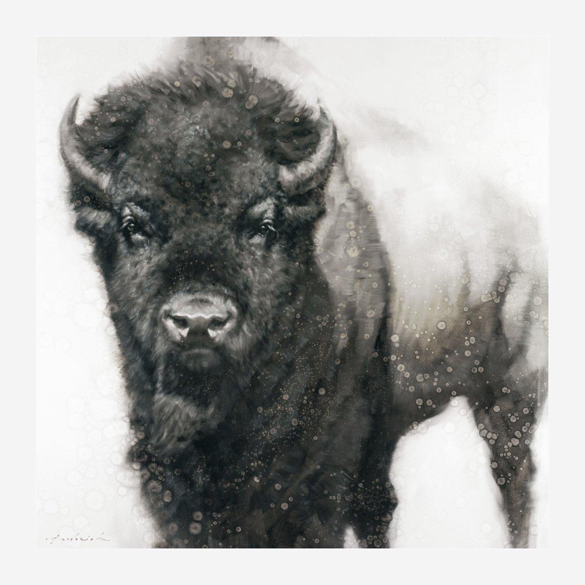 Bison Stare Stretched Canvas Art - David Frederick Wildlife Art - Your Western Decor