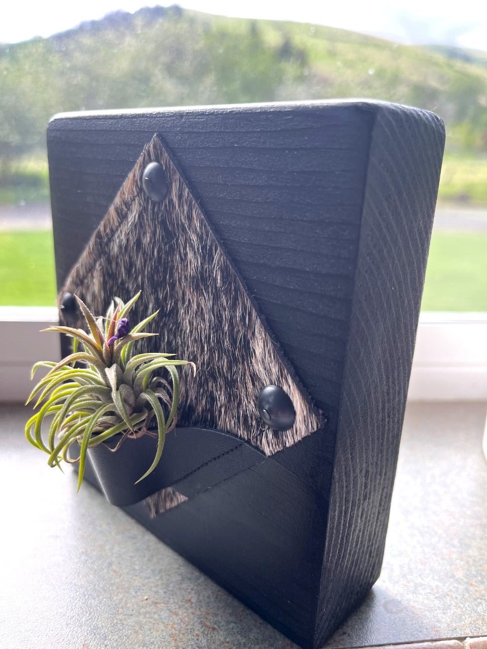 Custom made Cowhide & Leather Desktop Air Plant Plaque - Handmade in Oregon from Your Western Decor