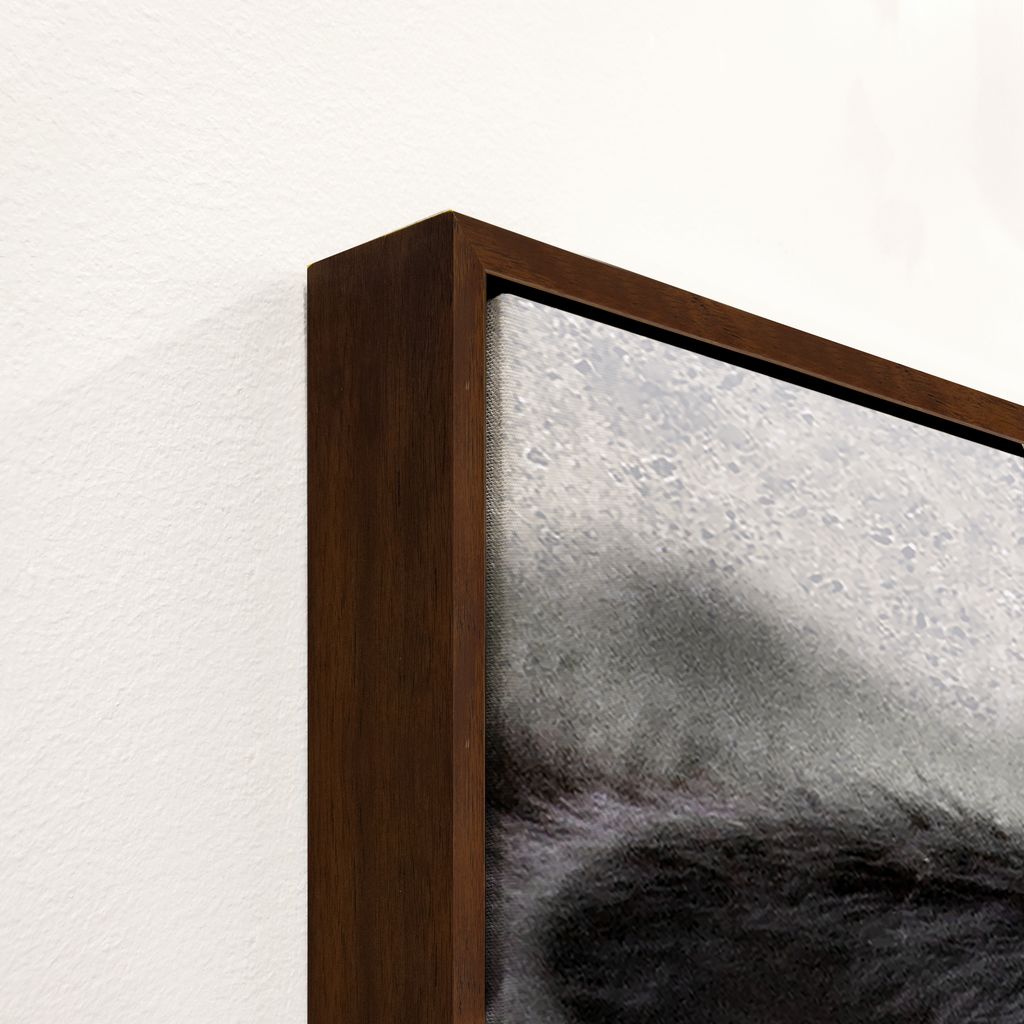 black angus calf canvas wall art featuring close-up cattle portrait for western ranch setting. Detail of frame in walnut wood