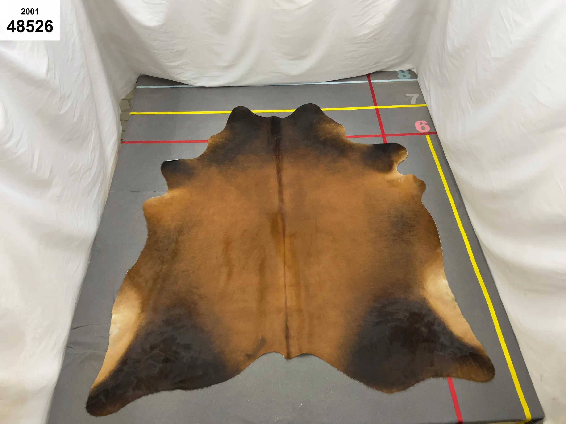black brown Brazilian cowhide rug large 