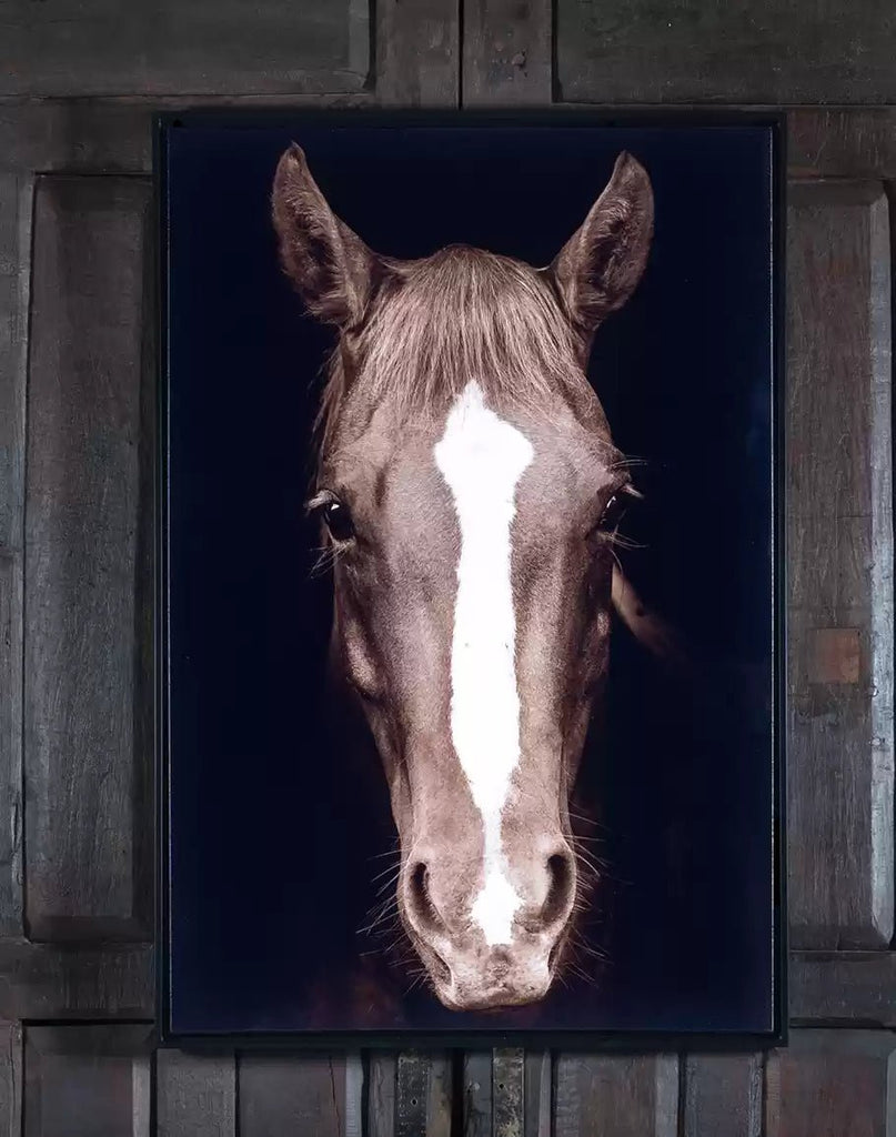 Blaze - Framed Canvas Horse Art - Your Western Decor