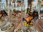 Western glassware with print of cowboy, bronc, rope and brands - Your Western Decor