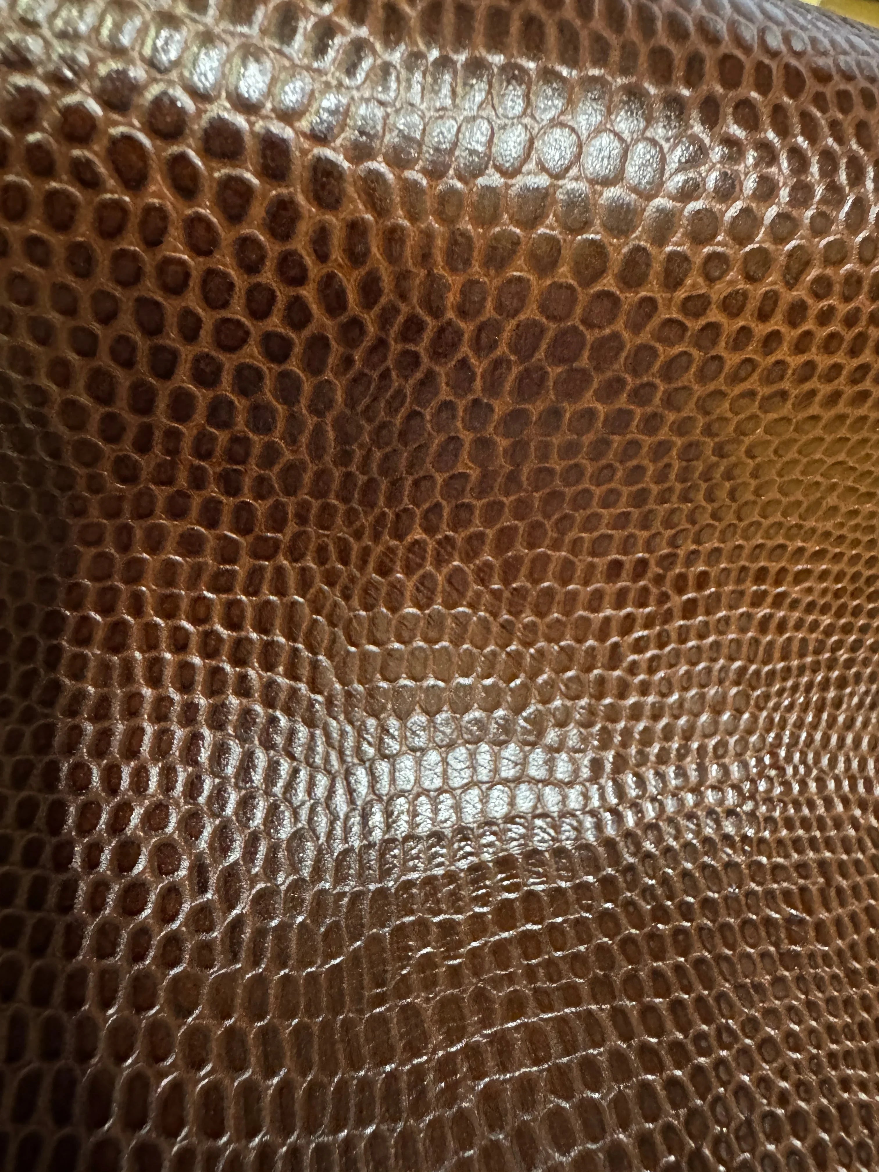 Embossed Lizard Gem Saddle Leather | Your Western Decor display picture 2