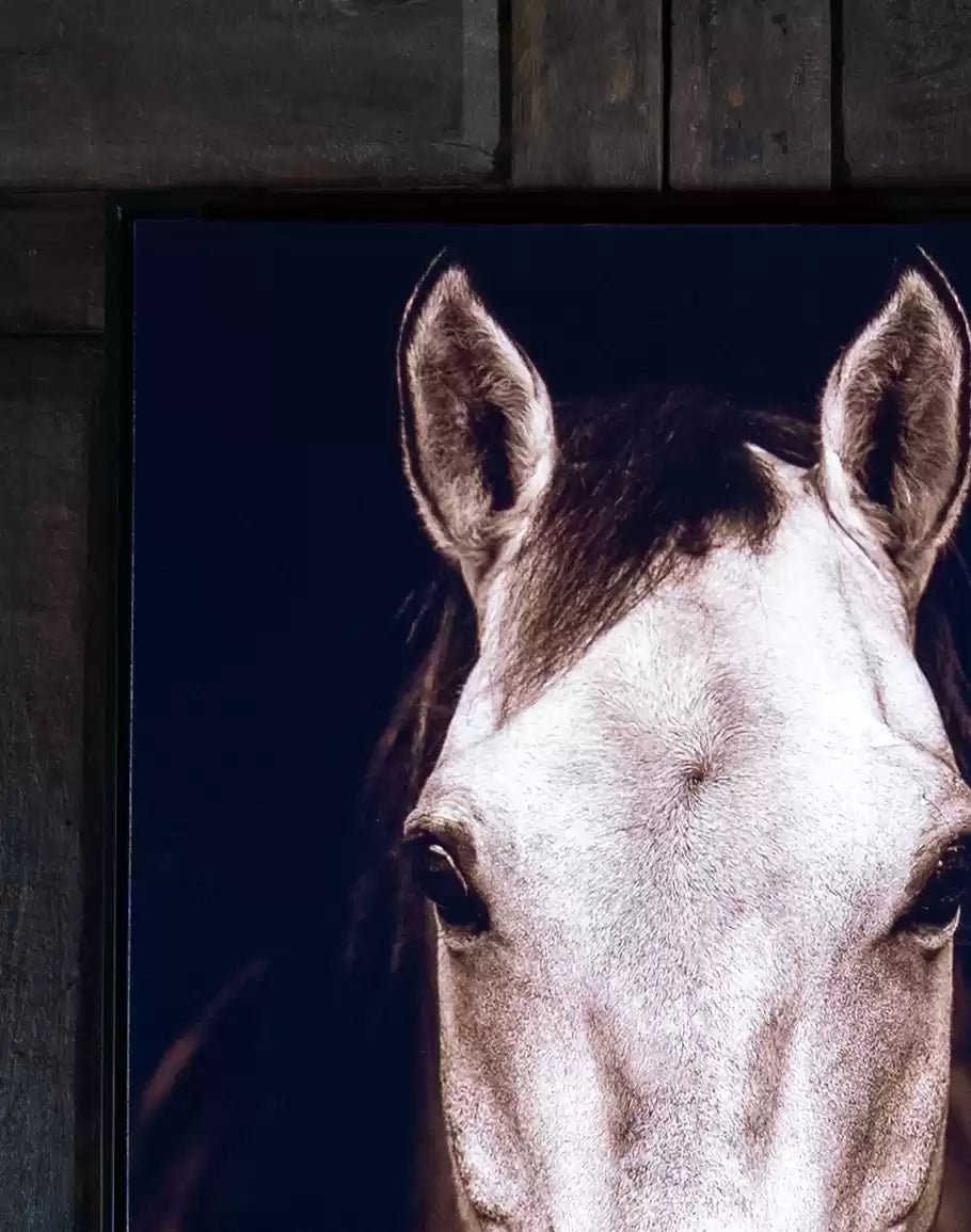 Buckskin Canvas Art Detail - Your Western Decor