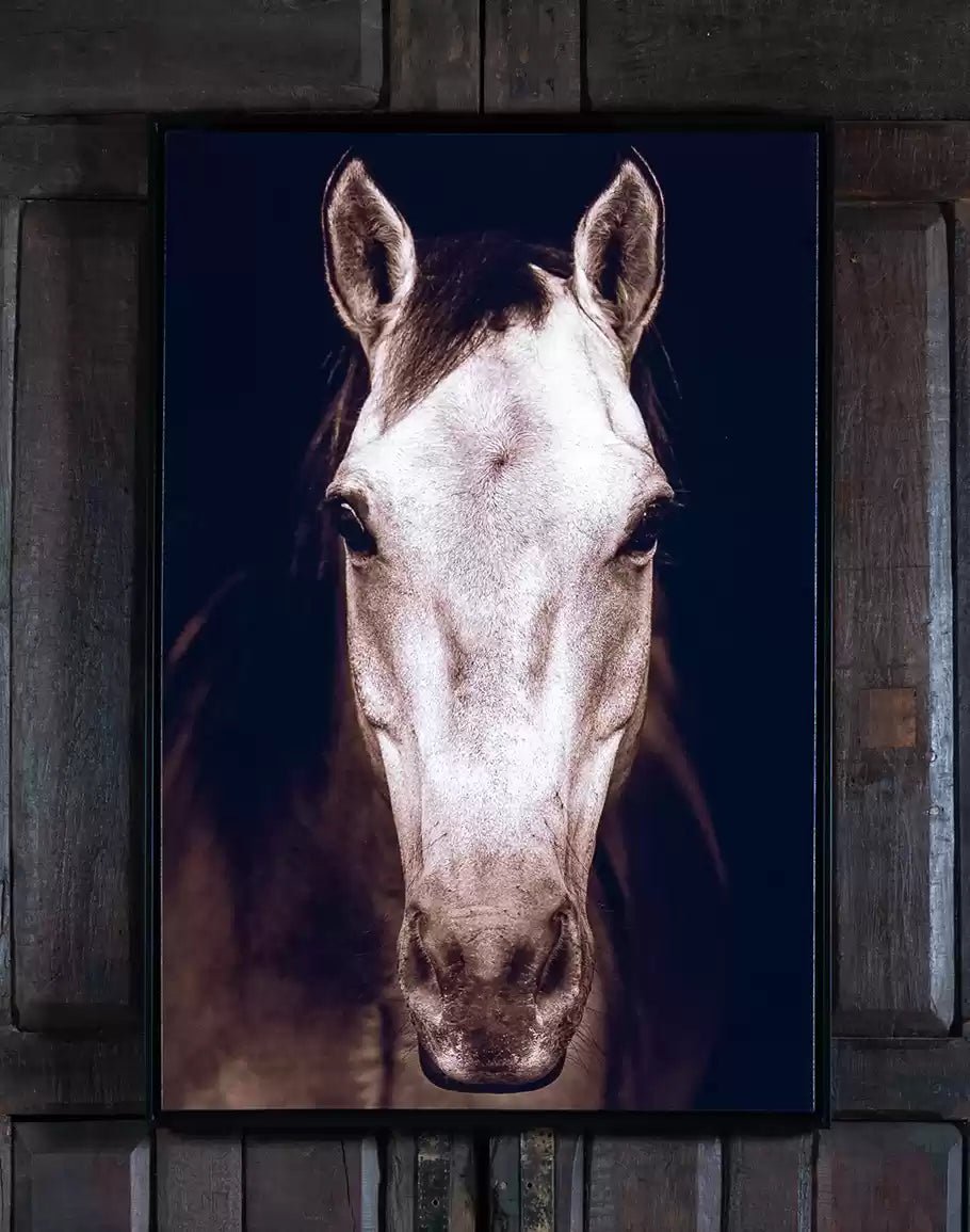 Horse wall art horse canvas stable wall horse print , Ready to hang home office gift cheapest canvas