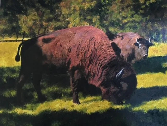 Stay Strong Grazing Buffalo Pair ary by Sherri Alexander