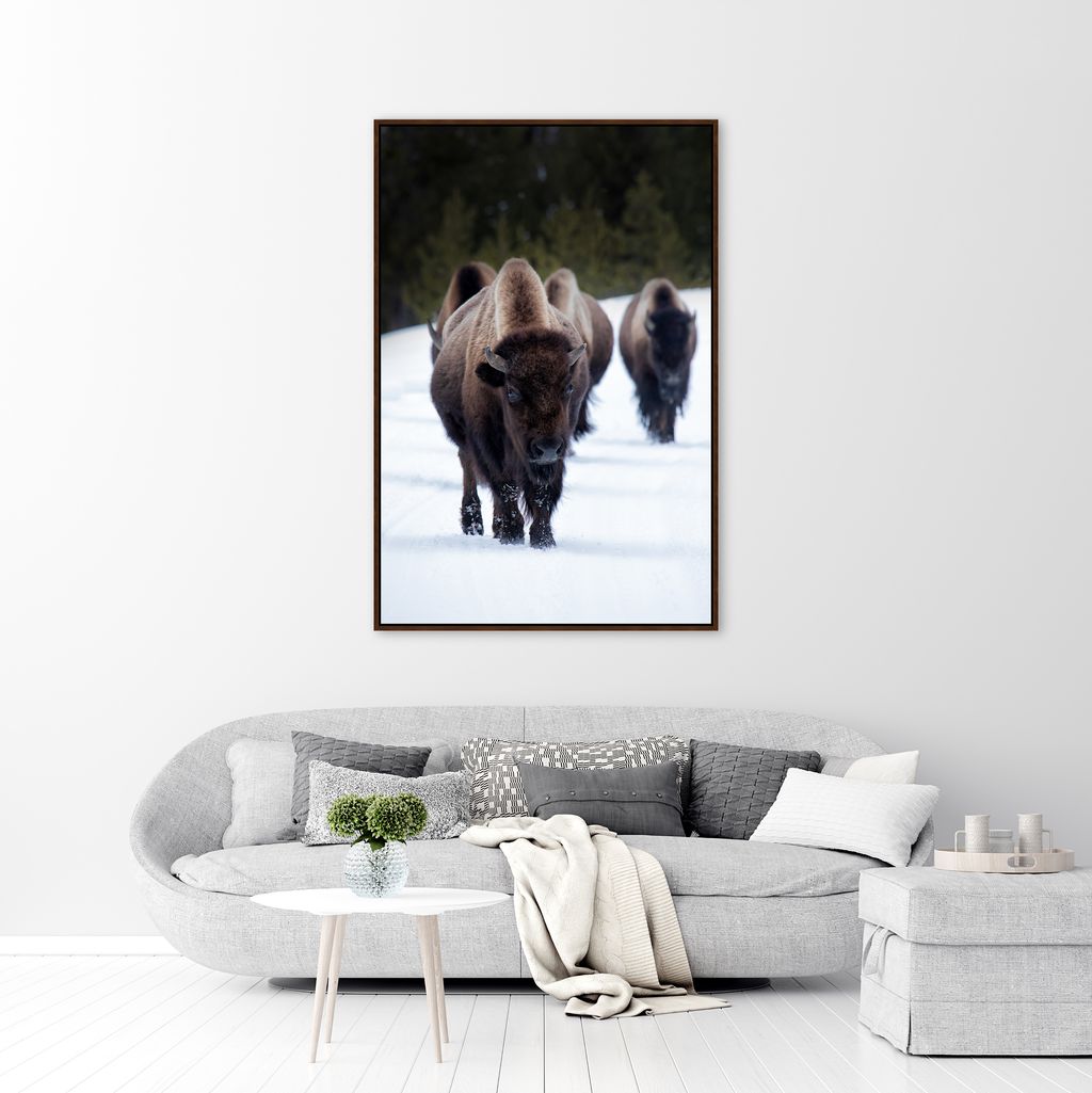 large western buffalo wall decor framed canvas hanging on white wall over sofa