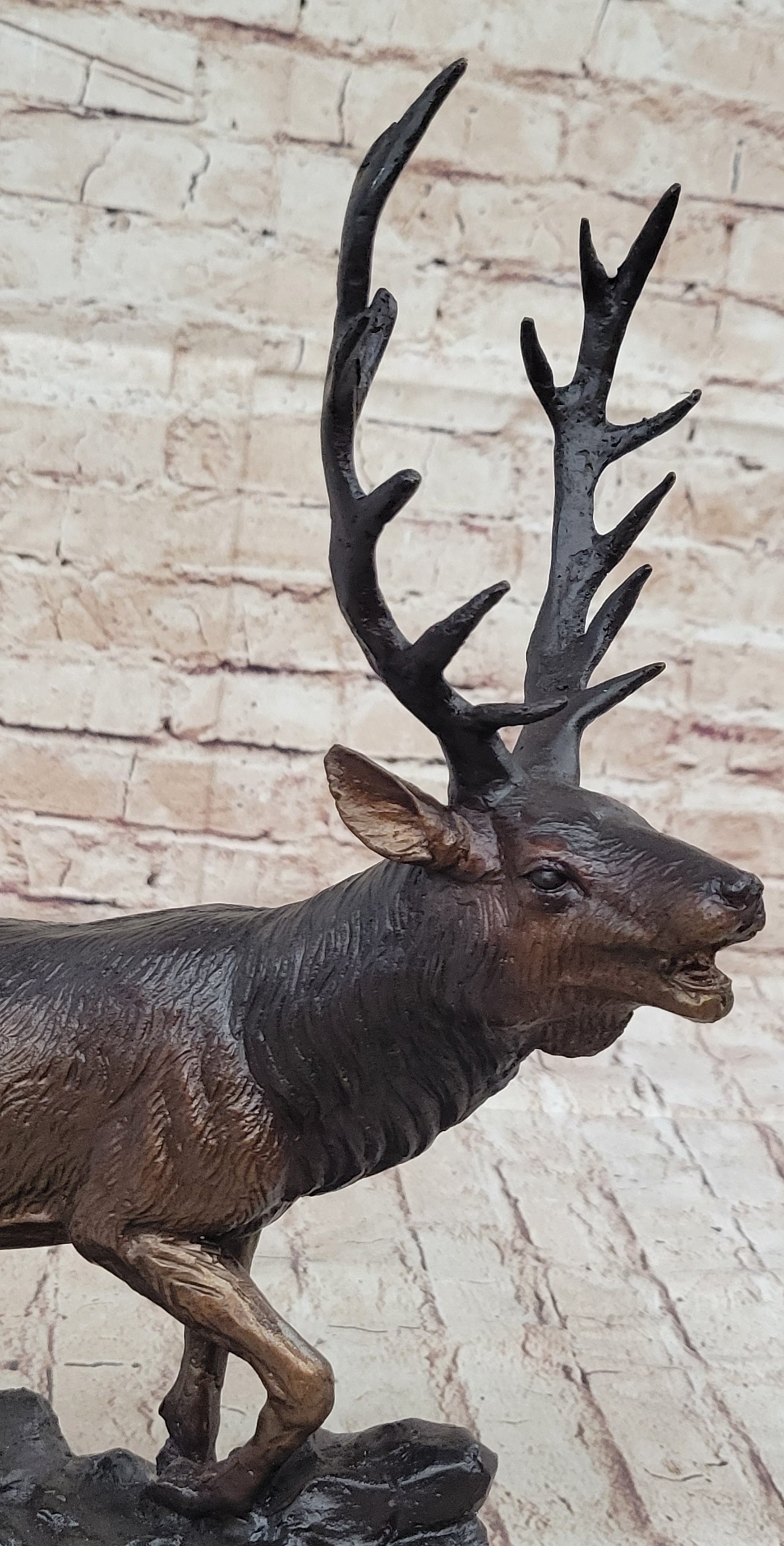 Bronze bull elk sculpture detail - Your Western Decor