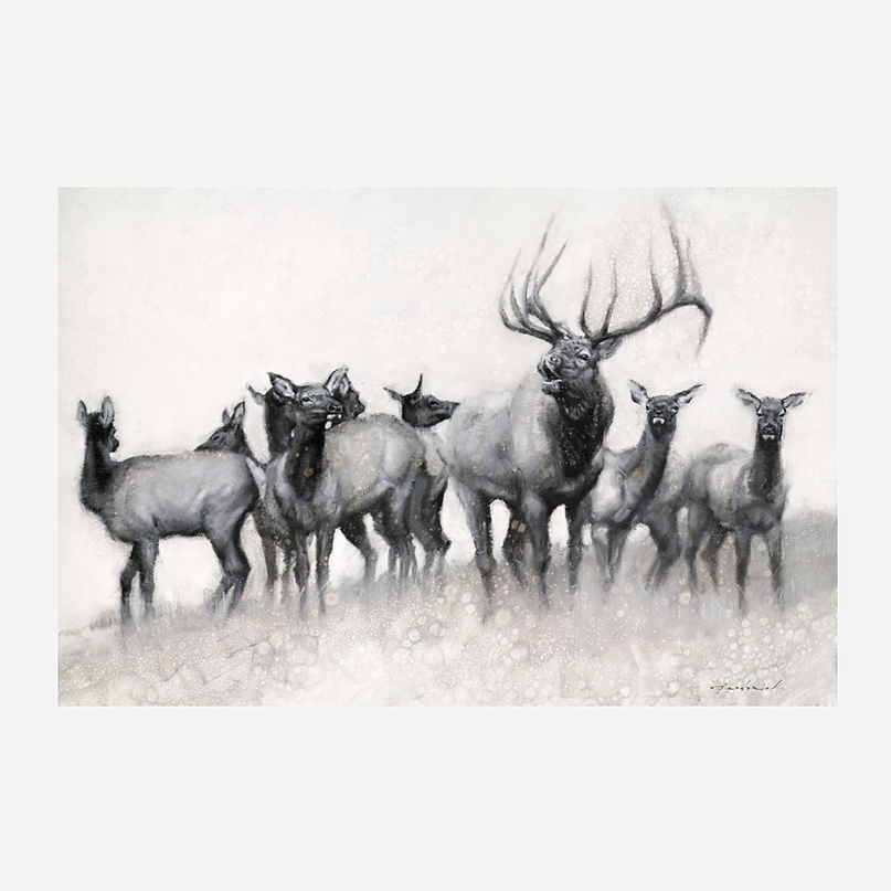 Calling in the Season - Elk Canvas Art - Your Western Decor