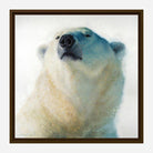 Calm Cool & Collected Brown Framed Polar Bear Art by David Frederick Riley at Your Western Decor