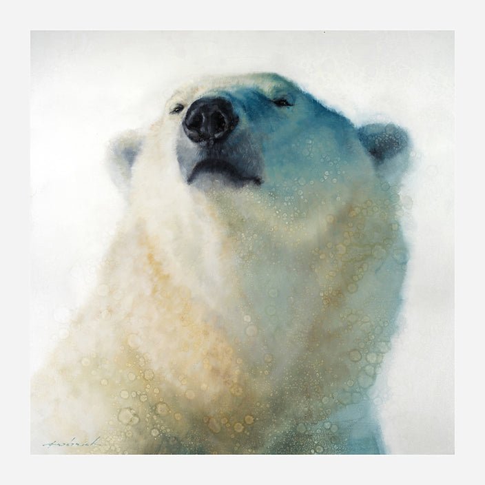 Calm Cool and Collected Polar Bear Art on Stretched Canvas - Wildlife art by David Frederick Riley at Your Western Decor