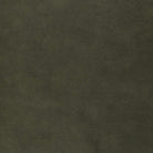 Solid dark green color swatch