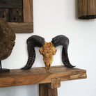 antiqued carved ram skull with hand carved natural horns