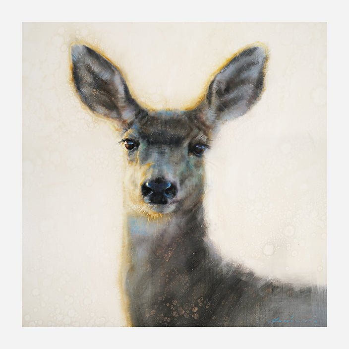 Doe Caught in the Light on Stretched Canvas art by David Frederick Riley at Your Western Decor