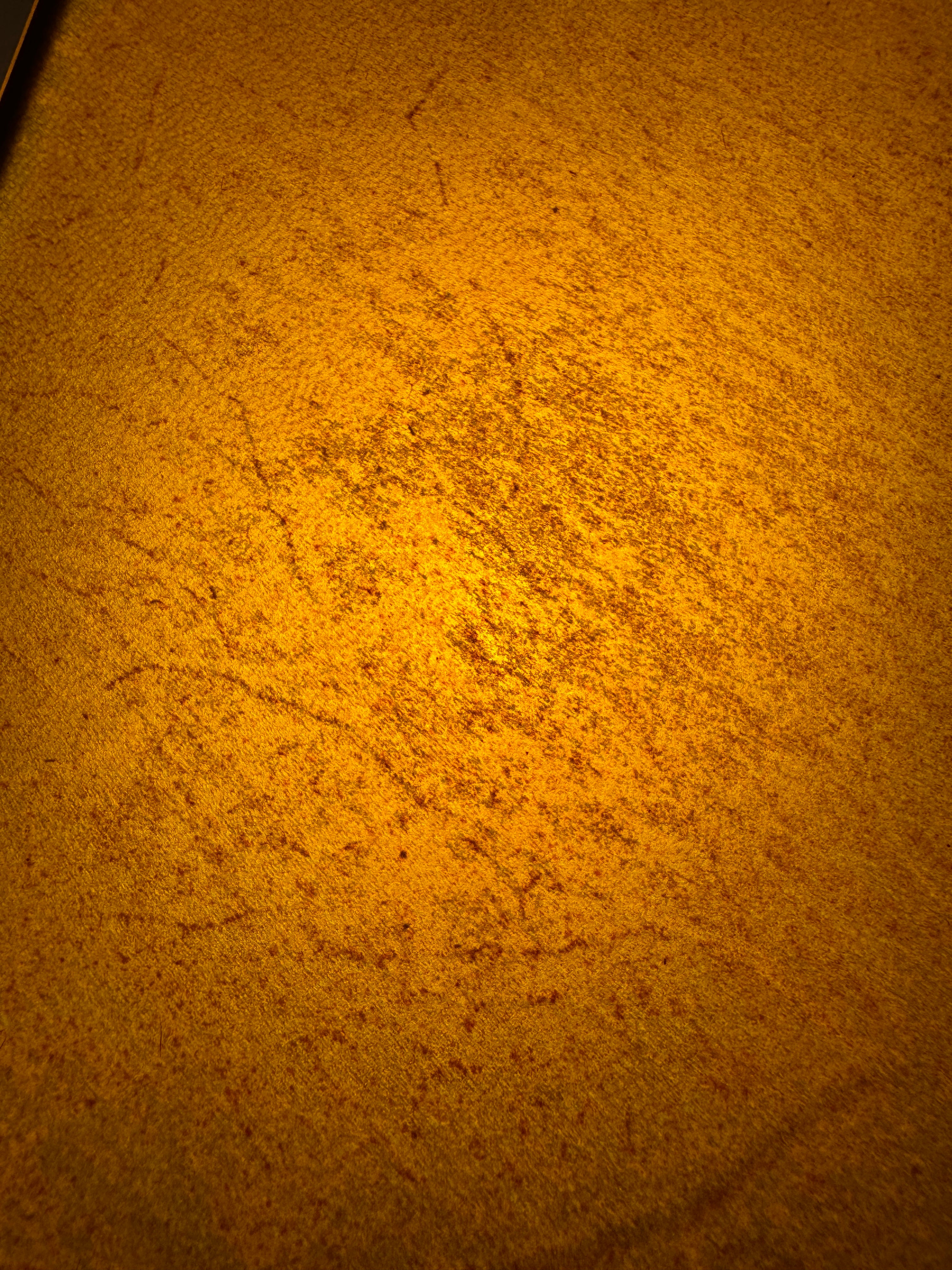 Close up detail of buckskin color rawhide on lamp shade