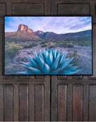 Desert plants and plains framed art with Agave plant - Your Western Decor