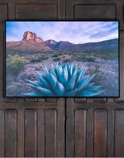 Desert plants and plains framed art with Agave plant - Your Western Decor