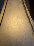 Close up of veining and detail of natural rawhide lamp shade