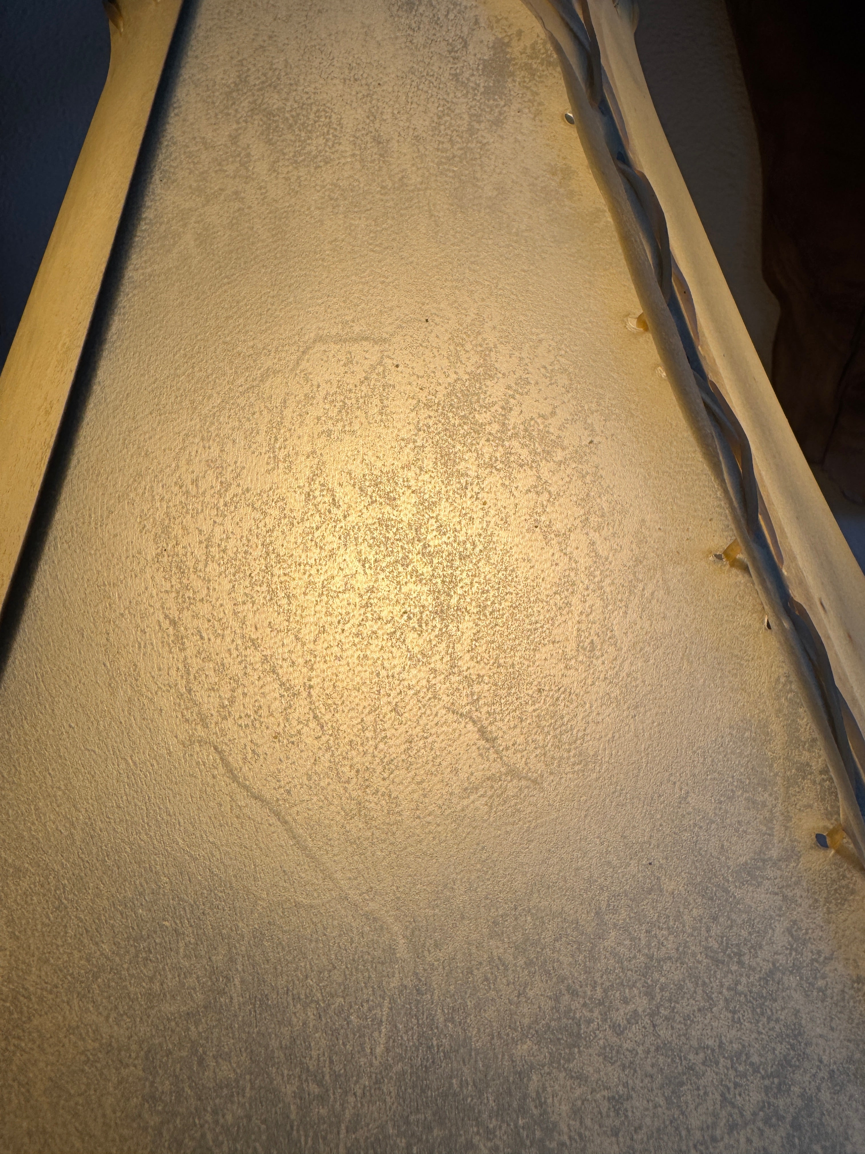 Close up of veining and detail of natural rawhide lamp shade