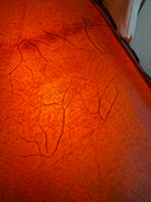 Detail of amber rawhide on square lamp shade