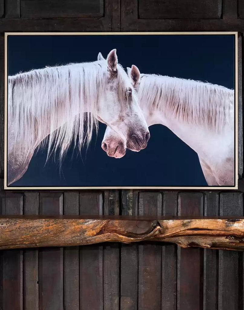 Dual Beauty White Horse Art - Your Western Decor