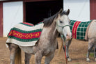 Eco Equine Striped Snaffle Woven Throw - Your Western Decor, LLC