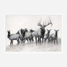 Elk canvas art with white frame - Your Western Decor