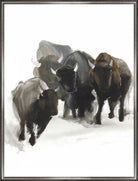 Black and white canvas buffalo framed art