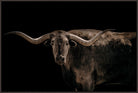 Longhorn cow art with large horns on a black background - Your Western Decor
