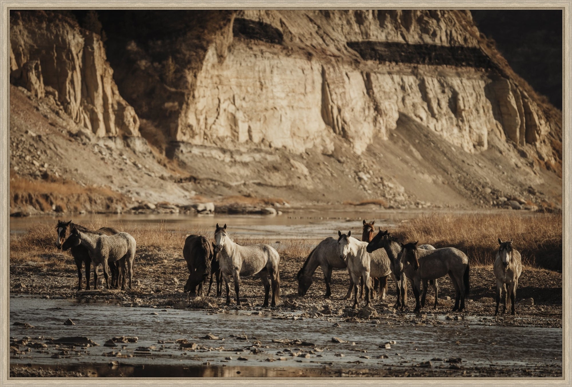 Group of horses drinking water in a desert landscape with cliffs in the background - Your Western Decor