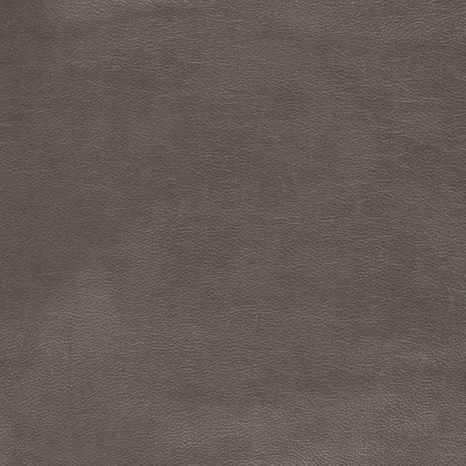 Evolution gray leather sample 