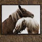 A framed photographic print of two horses, one dark brown and one light beige, displayed on a textured brown wall.
