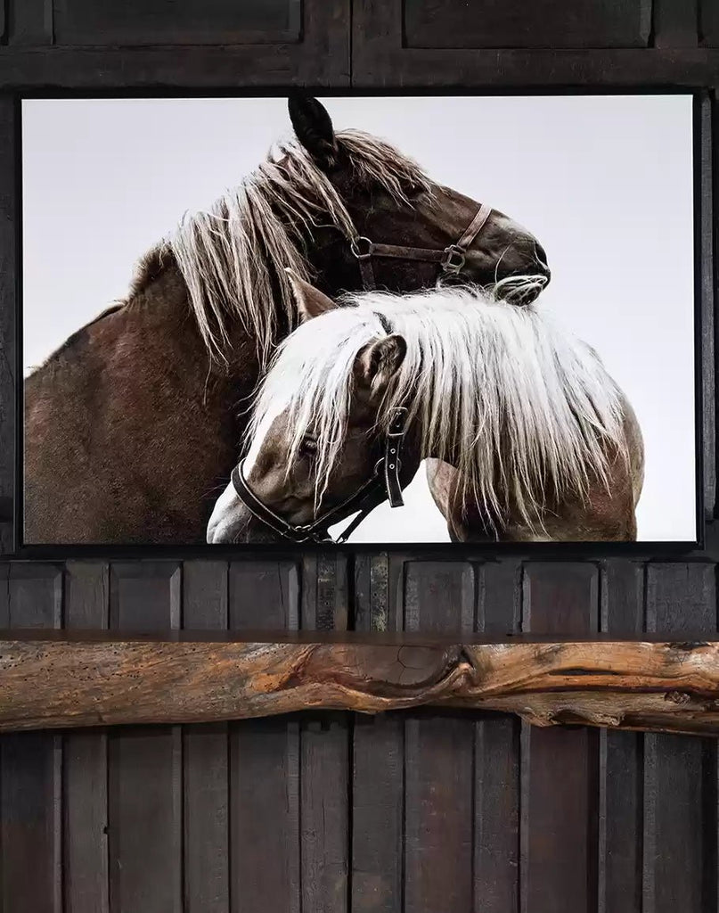 Haltered - Framed Horse Art on Canvas - Your Western Decor