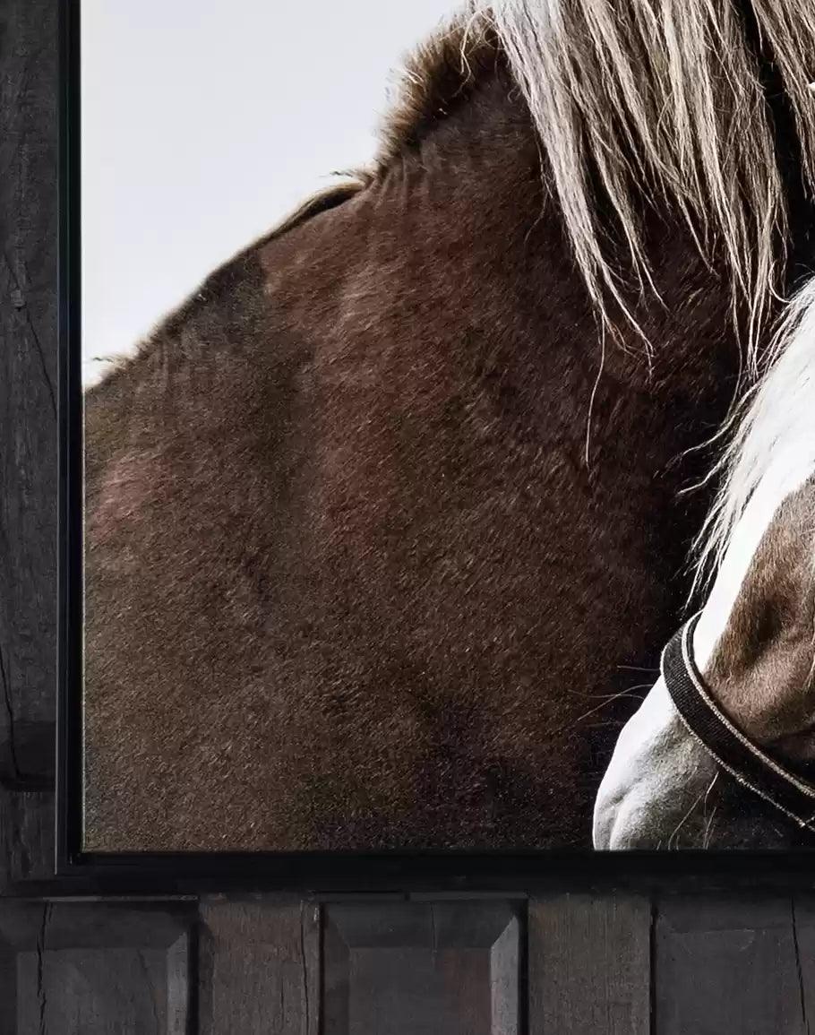 Haltered - Framed Horse Art on Canvas Detail - Your Western Decor