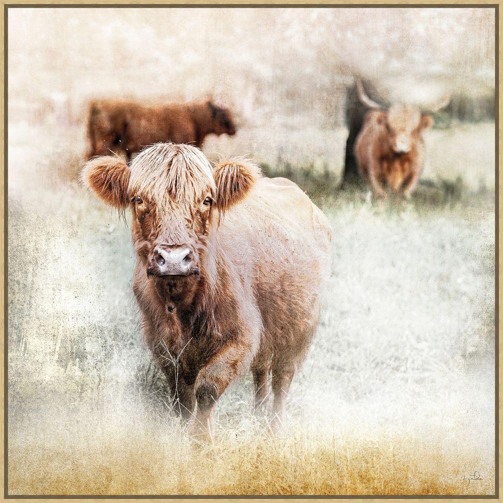 Canvas highlander cows in field framed art made in the USA - Your Western Decor