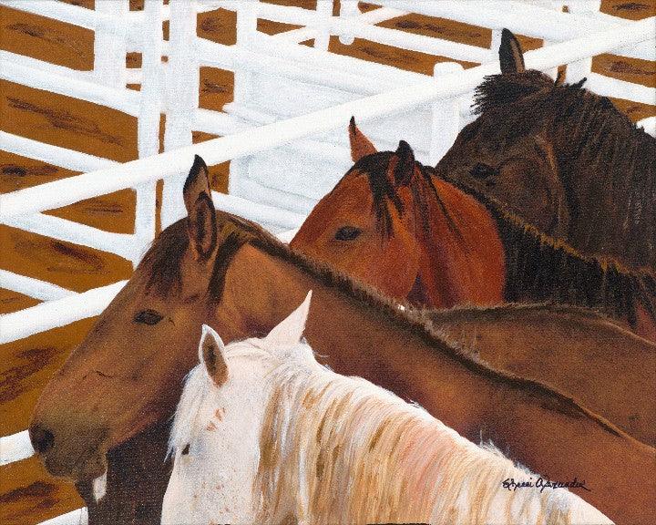 Holding Pen - Rodeo Horse Canvas Art by Sherri Alexander - Your Western Decor