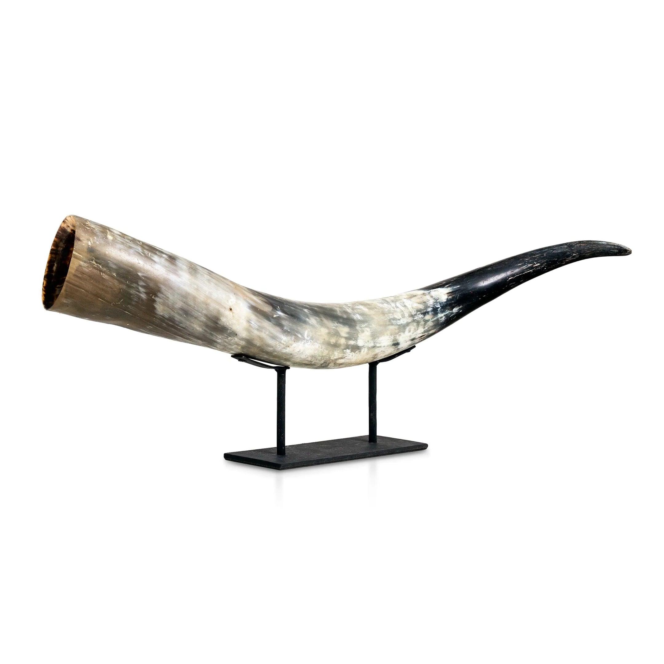 Horizon Longhorn Shelf Display - Your Western Decor