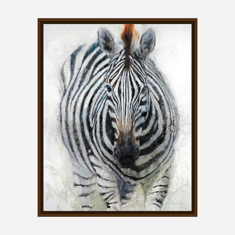 Hypnotized Zebra Canvas Art by David Frederick Riley - Your Western Decor