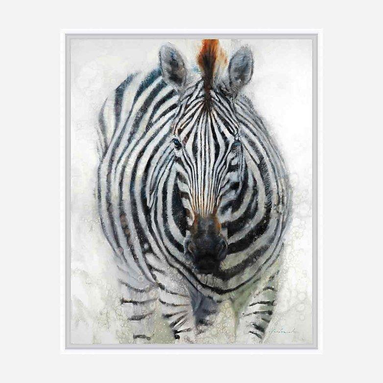 Hypnotized Zebra Canvas Art by David Frederick Riley - Your Western Decor