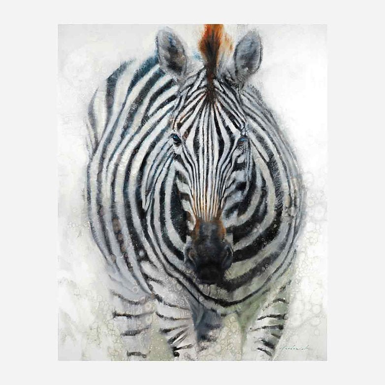 Hypnotized Zebra Canvas Art by David Frederick Riley - Your Western Decor