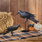 Iron crow figurines for fall decor - Your Western Decor