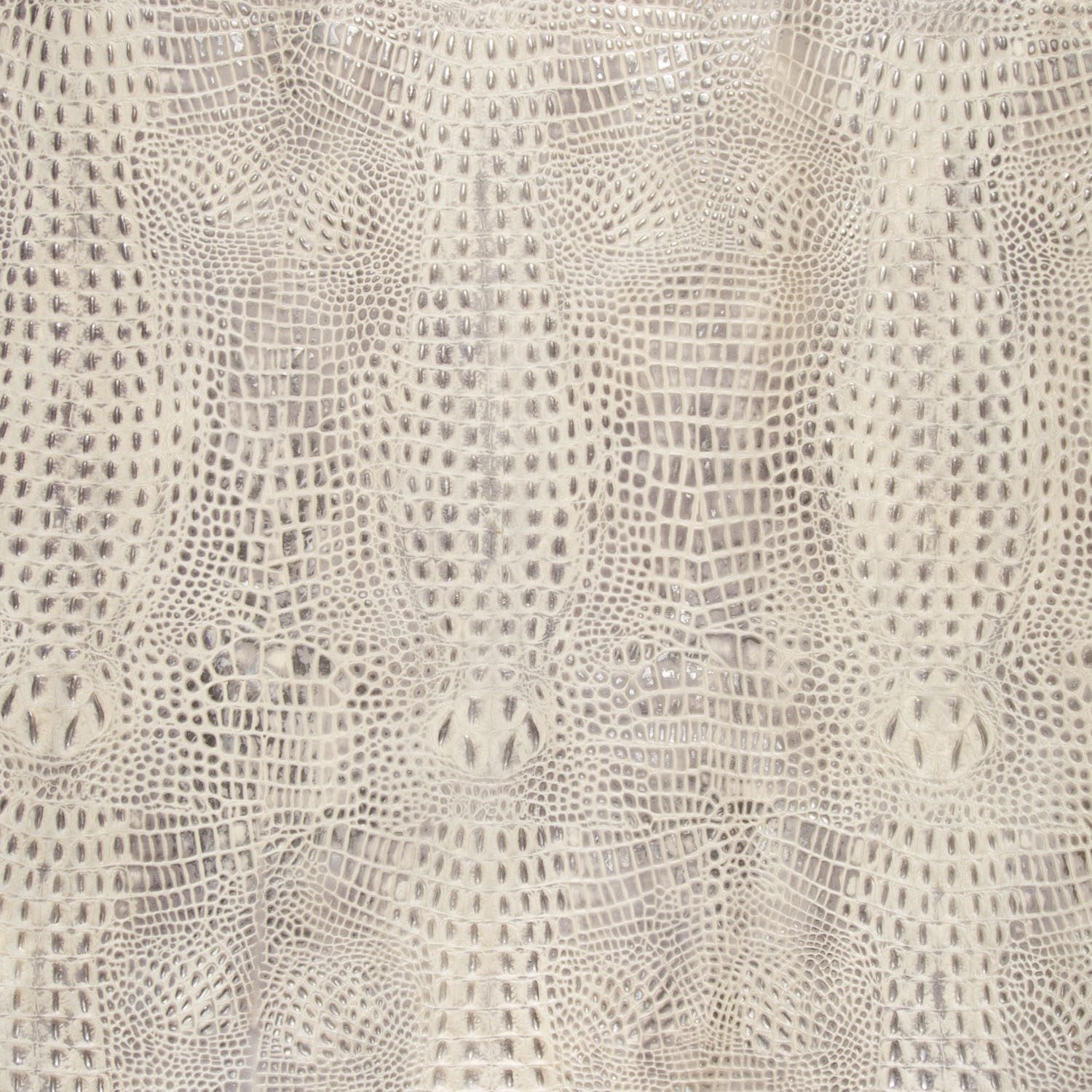Ivory croc embossed leather sample
